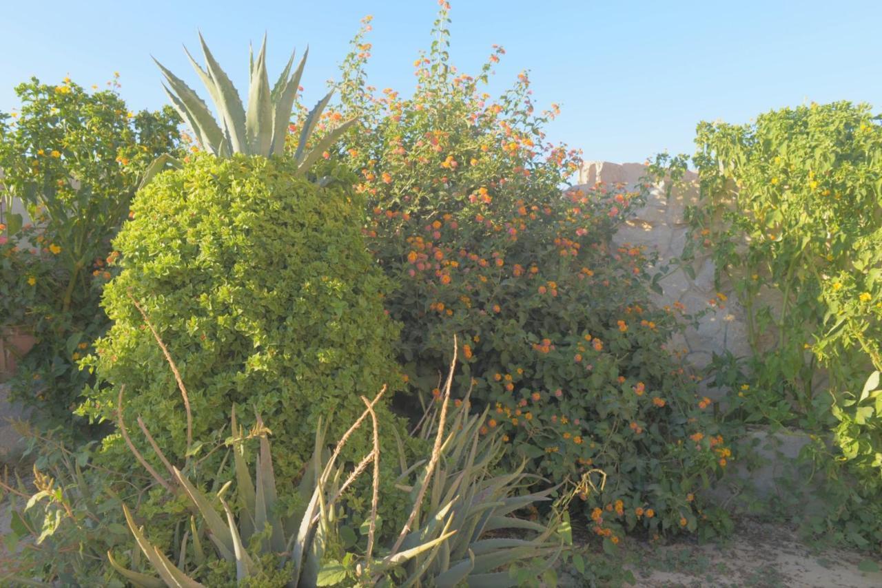 Happy Bedouin House Petra Acomodação com café da manhã Al Hayy Exterior foto